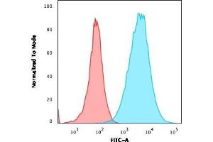 Flow Cytometric Analysis of A549 cells using S100A4 Recombinant Rabbit Monoclonal Antibody (S100A4/2750R) followed by goat anti-rabbit IgG-CF488 (Blue); Isotype Control (Red).