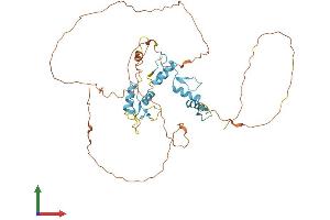 Protein Structure (PS) image for Zinc Finger Protein ZIC 1 (ZIC1) (AA 1-447) protein (His tag) (ABIN7545632)