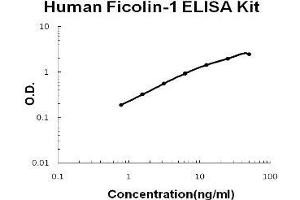 Human Ficolin-1 PicoKine ELISA Kit standard curve (FCN1 ELISA 试剂盒)