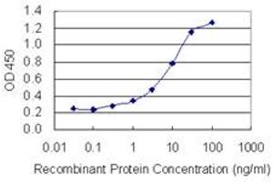ELISA image for anti-ADP-Ribosylation Factor Guanine Nucleotide-Exchange Factor 1(brefeldin A-Inhibited) (ARFGEF1) (AA 311-411) antibody (ABIN948961)