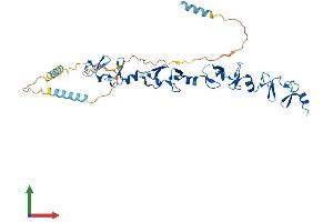 Protein Structure (PS) image for Leupaxin (LPXN) (AA 1-386) protein (His tag) (ABIN7549158)