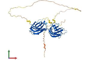 AlphaFold protein structure predicition of Mouse Recombinant Doc2b Protein, UniprotID P70169