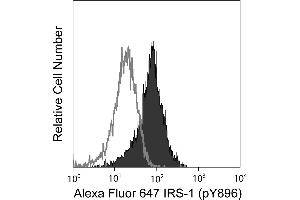 Flow Cytometry (FACS) image for anti-Insulin Receptor Substrate 1 (IRS1) (pTyr896) antibody (Alexa Fluor 647) (ABIN1177074) (IRS1 抗体  (pTyr896) (Alexa Fluor 647))