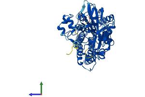Protein Structure (PS) image for Polyamine Oxidase (Exo-N4-Amino) (PAOX) (AA 1-504) protein (His tag) (ABIN7559076)