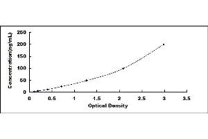 Typical standard curve (ARG2 ELISA 试剂盒)