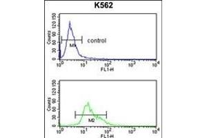 Flow Cytometry (FACS) image for anti-Thyroid Hormone Receptor Interactor 13 (TRIP13) (AA 64-90), (N-Term) antibody (ABIN389357)