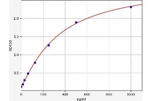 Typical standard curve (CACYBP ELISA 试剂盒)