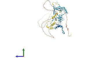 Protein Structure (PS) image for Paf1, RNA Polymerase II Associated Factor, Homolog (PAF1) (AA 1-535) protein (His tag) (ABIN7564638)