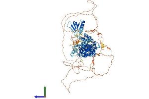 AlphaFold protein structure predicition of Human Recombinant PLEKHM2 Protein, UniprotID Q8IWE5 (PLEKHM2 Protein (AA 1-1019) (His tag))