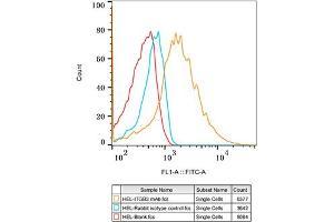 Flow cytometry: HEL cells were stained with Rabbit IgG isotype control (, 2. (Integrin beta 3 抗体)