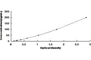 Typical Standard Curve for Rat F1+2 ELISA.