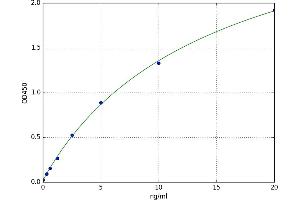 Microfibrillar-Associated Protein 4 (MFAP4) ELISA Kit