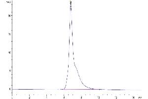 Size-exclusion chromatography-High Pressure Liquid Chromatography (SEC-HPLC) image for CD3 epsilon (CD3E) (AA 22-117) protein (His tag) (ABIN7274300)