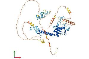 AlphaFold protein structure predicition of Human Recombinant MKRN1 Protein, UniprotID Q9UHC7