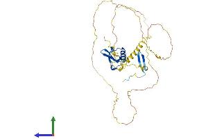Protein Structure (PS) image for Chromobox Homolog 8 (CBX8) (AA 1-362) protein (His tag) (ABIN7561761)