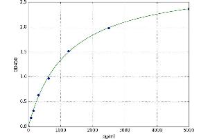 A typical standard curve