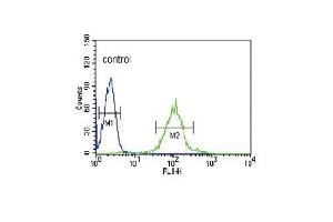 IRF8 Antibody (C-term) (ABIN389336 and ABIN2839448) flow cytometric analysis of HL-60 cells (right histogram) compared to a negative control cell (left histogram). (IRF8 抗体  (C-Term))