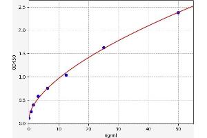 Typical standard curve (BAK1 ELISA 试剂盒)