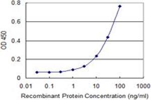 Detection limit for recombinant GST tagged CCNA1 is 0. (Cyclin A1 抗体  (AA 1-464))