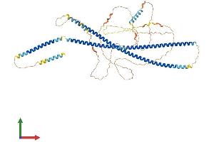 Protein Structure (PS) image for Beaded Filament Structural Protein 1, Filensin (BFSP1) (AA 1-665) protein (His tag) (ABIN7552617)