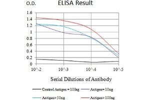 Black line: Control Antigen (100 ng),Purple line: Antigen (10 ng), Blue line: Antigen (50 ng), Red line:Antigen (100 ng) (CD57 抗体  (AA 35-191))