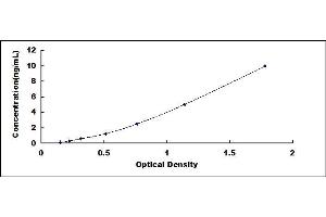 Typical standard curve (LYL1 ELISA 试剂盒)