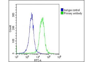 Flow Cytometry (FACS) image for anti-Proteasome (Prosome, Macropain) 26S Subunit, Non-ATPase, 3 (PSMD3) (AA 482-515) antibody (ABIN6243826)