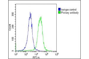 Overlay histogram showing HeLa cells stained with (ABIN6243826 and ABIN6578813)(green line). (PSMD3 抗体  (AA 482-515))