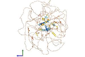 Protein Structure (PS) image for B-Cell CLL/lymphoma 9-Like (BCL9L) (AA 1-1494) protein (His tag) (ABIN7564002)