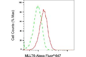 Flow cytometric analysis of MLLT6 expression in C2C12 cells using MLLT6 antibody (ABIN7799512), 1:2,000). (Recombinant MLLT6 抗体)