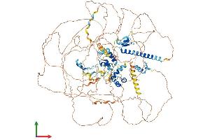 Protein Structure (PS) image for Transcriptional Regulating Factor 1 (TRERF1) (AA 1-1200) protein (His tag) (ABIN7555796)