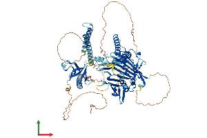 Protein Structure (PS) image for Oxysterol Binding Protein-Like 11 (OSBPL11) (AA 1-751) protein (His tag) (ABIN7559367)