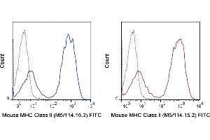 C57Bl/6 splenocytes were stained with 0. (MHC II (I-A/I-E) 抗体  (FITC))