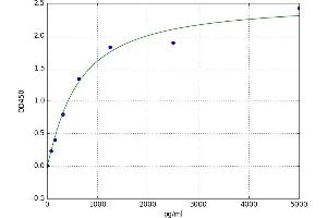 A typical standard curve