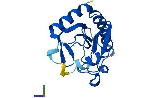 AlphaFold protein structure predicition of Mouse Recombinant Fhit Protein, UniprotID O89106