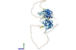 Protein Structure (PS) image for Polypyrimidine Tract Binding Protein 2 (PTBP2) (AA 1-531) protein (His tag) (ABIN7551056)