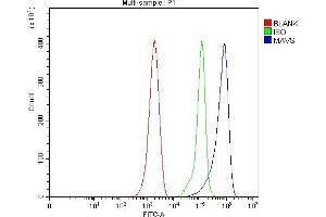 Flow Cytometry analysis of ANA-1 cells using anti-Mavs antibody (ABIN7599544).