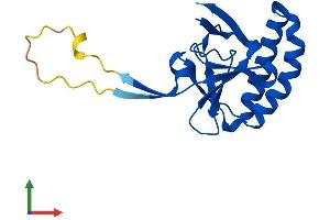 AlphaFold protein structure predicition of Mouse Recombinant Tpt1 Protein, UniprotID P63028