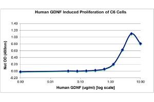 SDS-PAGE of Human Glial Derived Neurotrophic Factor Recombinant Protein Bioactivity of Human Glial Derived Neurotrophic Factor Recombinant Protein. (GDNF 蛋白)