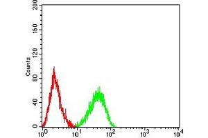 Flow cytometric analysis of HL-60 cells using CD339 mouse mAb (green) and negative control (red). (JAG1 抗体  (AA 47-212))