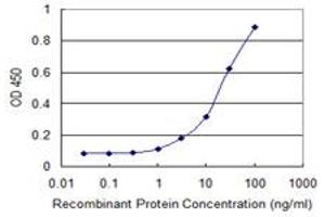 Detection limit for recombinant GST tagged HIPK2 is 0. (HIPK2 抗体  (AA 961-1065))