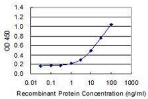 Detection limit for recombinant GST tagged MAMLD1 is 0. (MAMLD1 抗体  (AA 603-701))