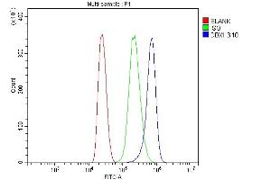 Flow Cytometry analysis of MCF-7 cells using anti-DDX1 antibody (ABIN7602052). (DDX1 抗体  (AA 562-740))