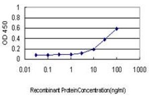 Detection limit for recombinant GST tagged TPP1 is approximately 0. (TPP1 抗体  (AA 195-304))