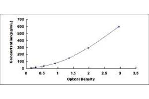 Typical standard curve (CALB1 ELISA 试剂盒)