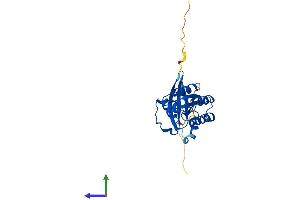 Protein Structure (PS) image for RAB5C, Member RAS Oncogene Family (Rab5c) (AA 1-216) protein (His tag) (ABIN7563157)