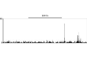 ChIP DNA-Sequencing (ChIP-seq) image for anti-Sp1 Transcription Factor (SP1) (C-Term) antibody (ABIN7458075) (SP1 抗体  (C-Term))