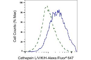 Validation of Cathepsin L/V/K/H knockdown using flow cytometry.