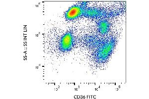 Surface staining of CD36 in human peripheral blood with anti-CD36 (CB38) FITC. (CD36 抗体  (FITC))