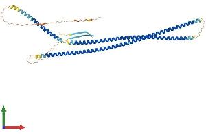 Protein Structure (PS) image for Glial Fibrillary Acidic Protein (GFAP) (AA 1-430) protein (His tag) (ABIN7562741)
